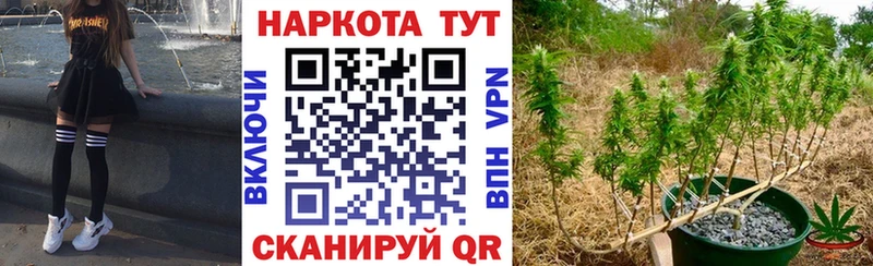 Гашиш Мегион