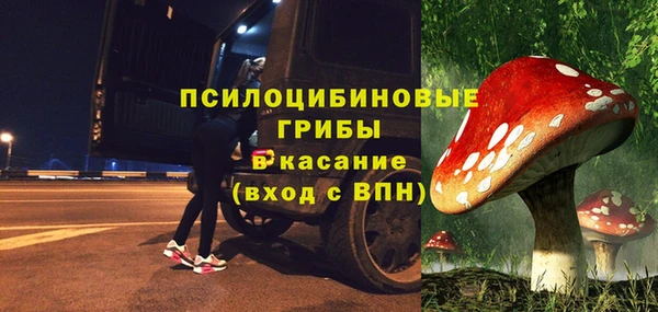 МДПВ Ладушкин