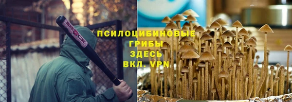 МДПВ Ладушкин