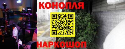крисы Лесосибирск