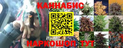 крисы Лесосибирск
