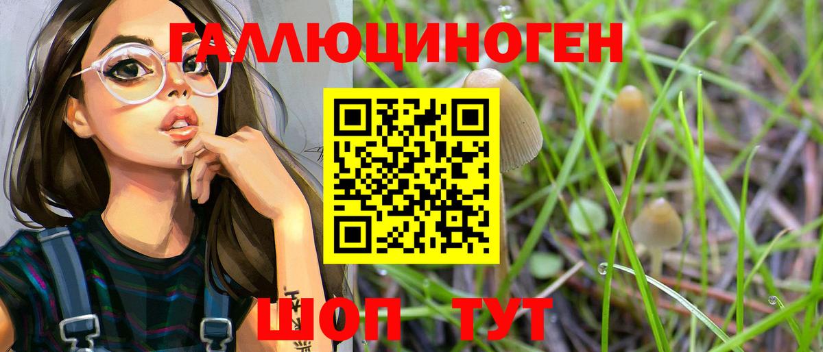 Галлюциногенные грибы Psilocybe  Вход с VPN  Псилоцибиновые грибы Psilocybine cubensis  Мегион 